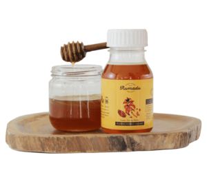 jual madu hutan asli