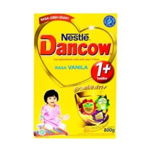 makanan sehat untuk anak