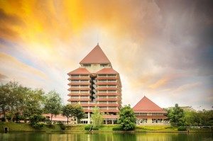 international university